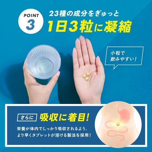 FANCL 綜合維他命與礦物質基底精華 POWER MultiVitamin & Mineral Base POWER