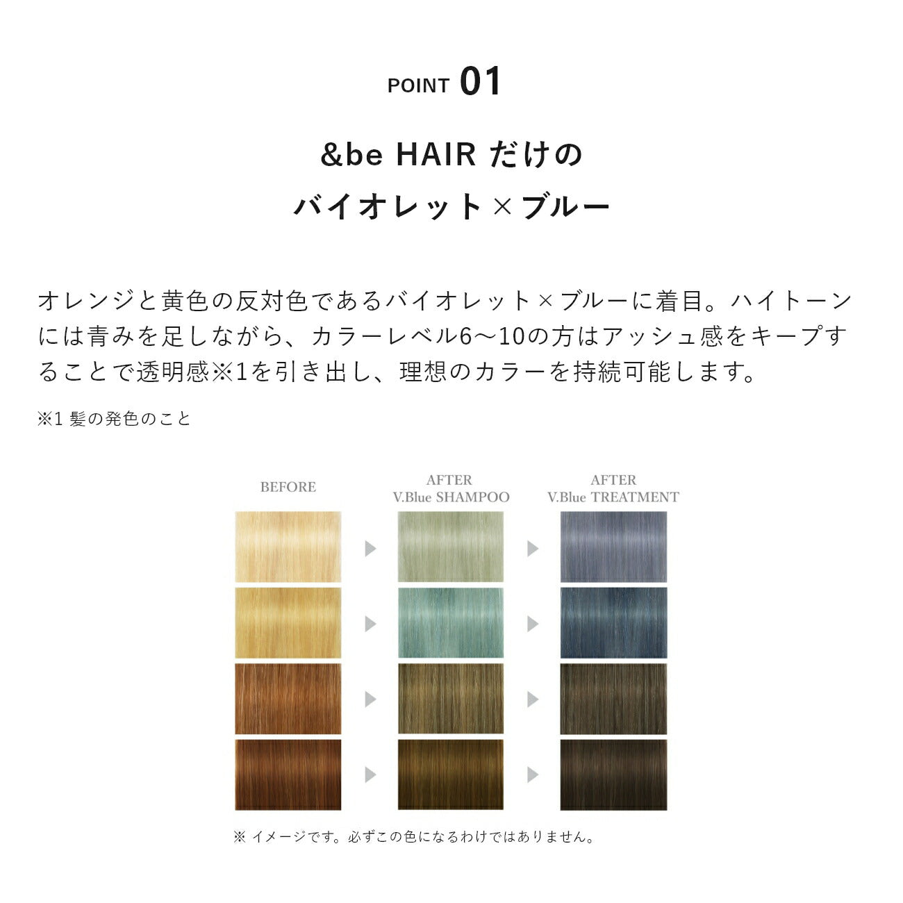 ＆be 染色洗髮露 V.藍色  ＆be Color Shampoo V.Blue 280mL