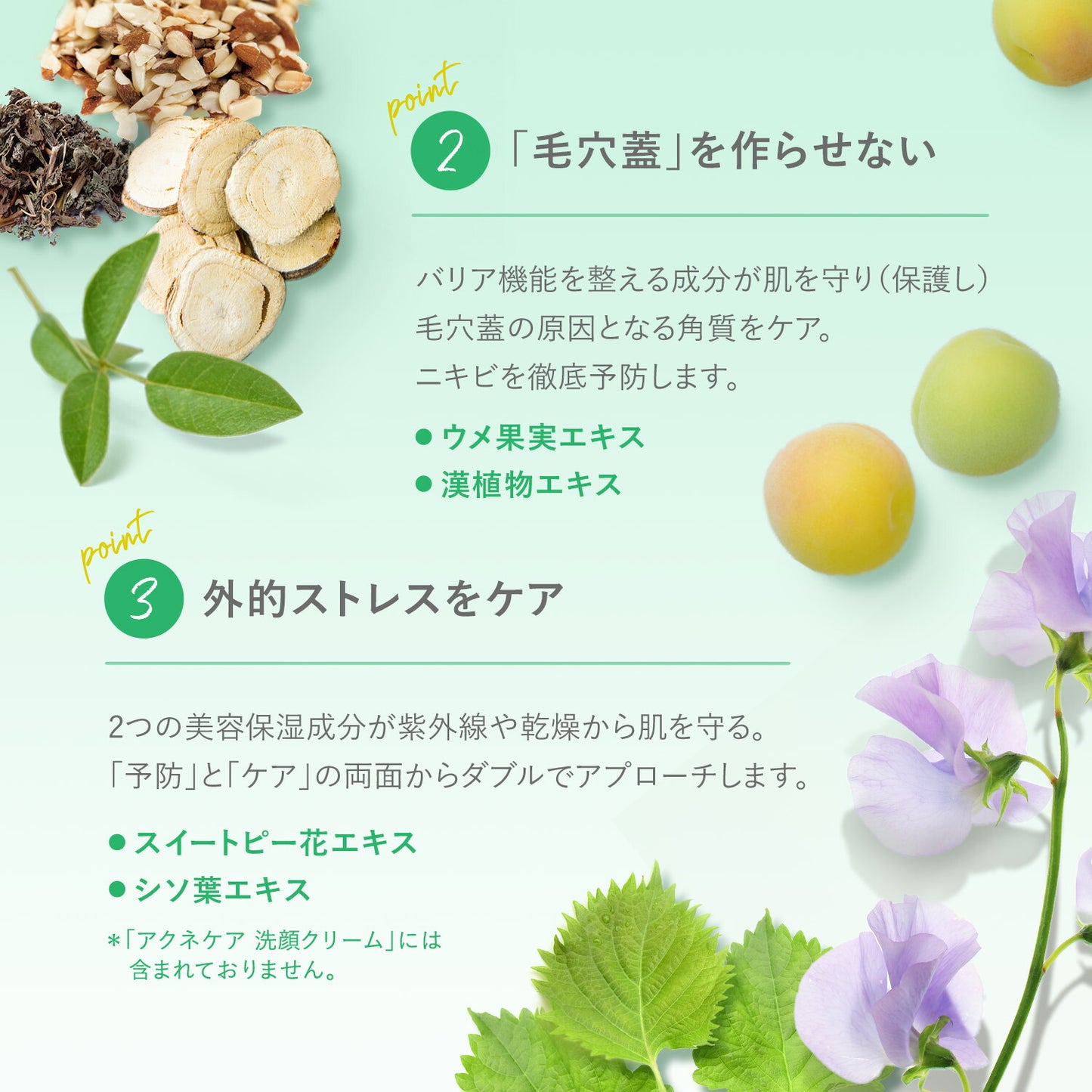 FANCL FDR 淨痘護理潔面霜  FDR Acne Care Facial Cleansing Cream 90g