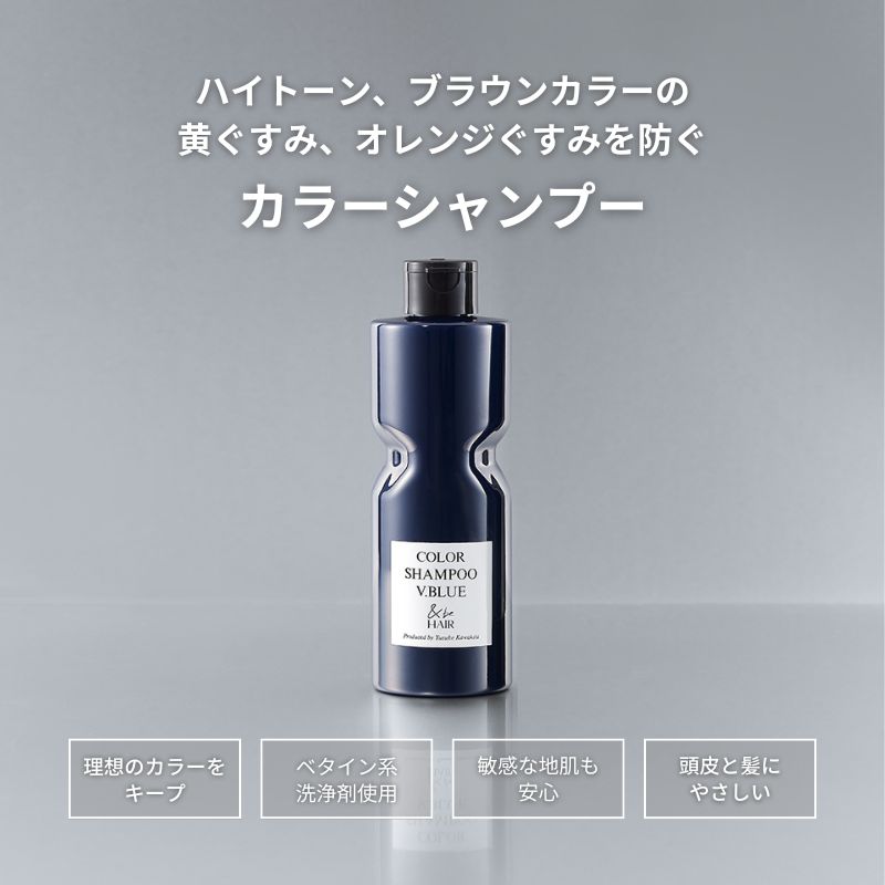 ＆be 染色洗髮露 V.藍色  ＆be Color Shampoo V.Blue 280mL