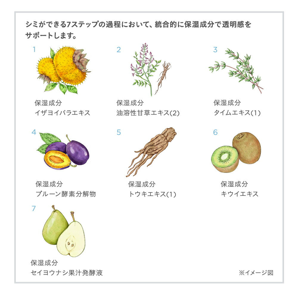 ETVOS 亮白透亮系列初體驗套裝 Brightening Clear Line First Kit